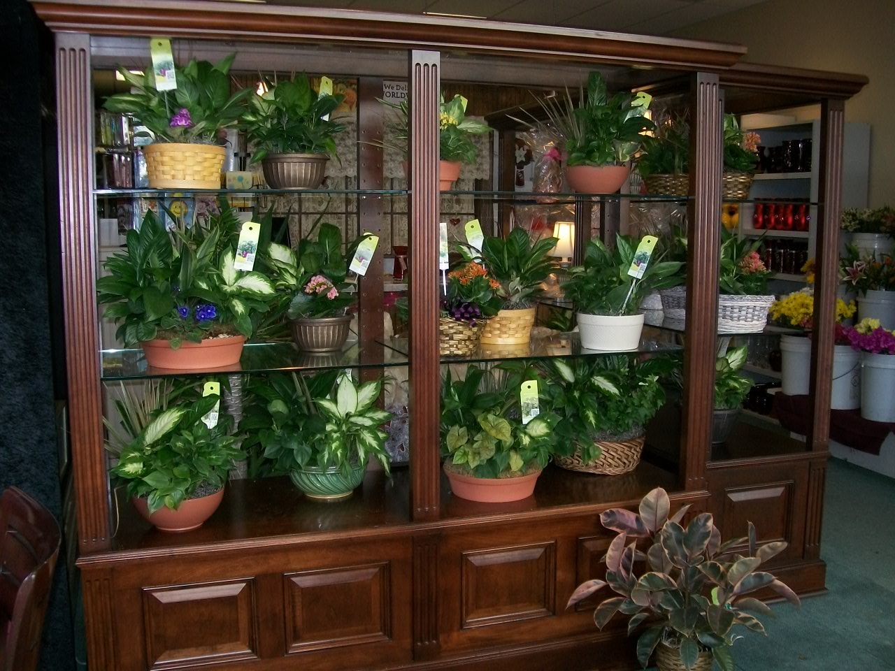 About Me Not Florist Middletown, DE Florist